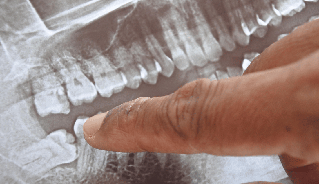 Events - Malmesbury Dental & Specialist Referral Centre