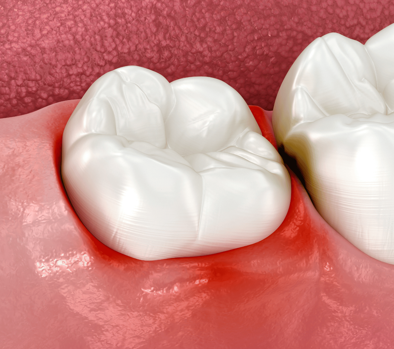 Malmesbury Dental & Specialist Referral Centre