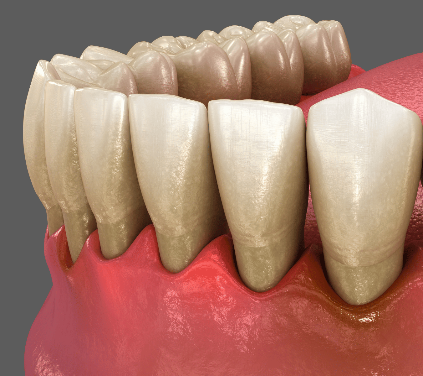 Malmesbury Dental & Specialist Referral Centre