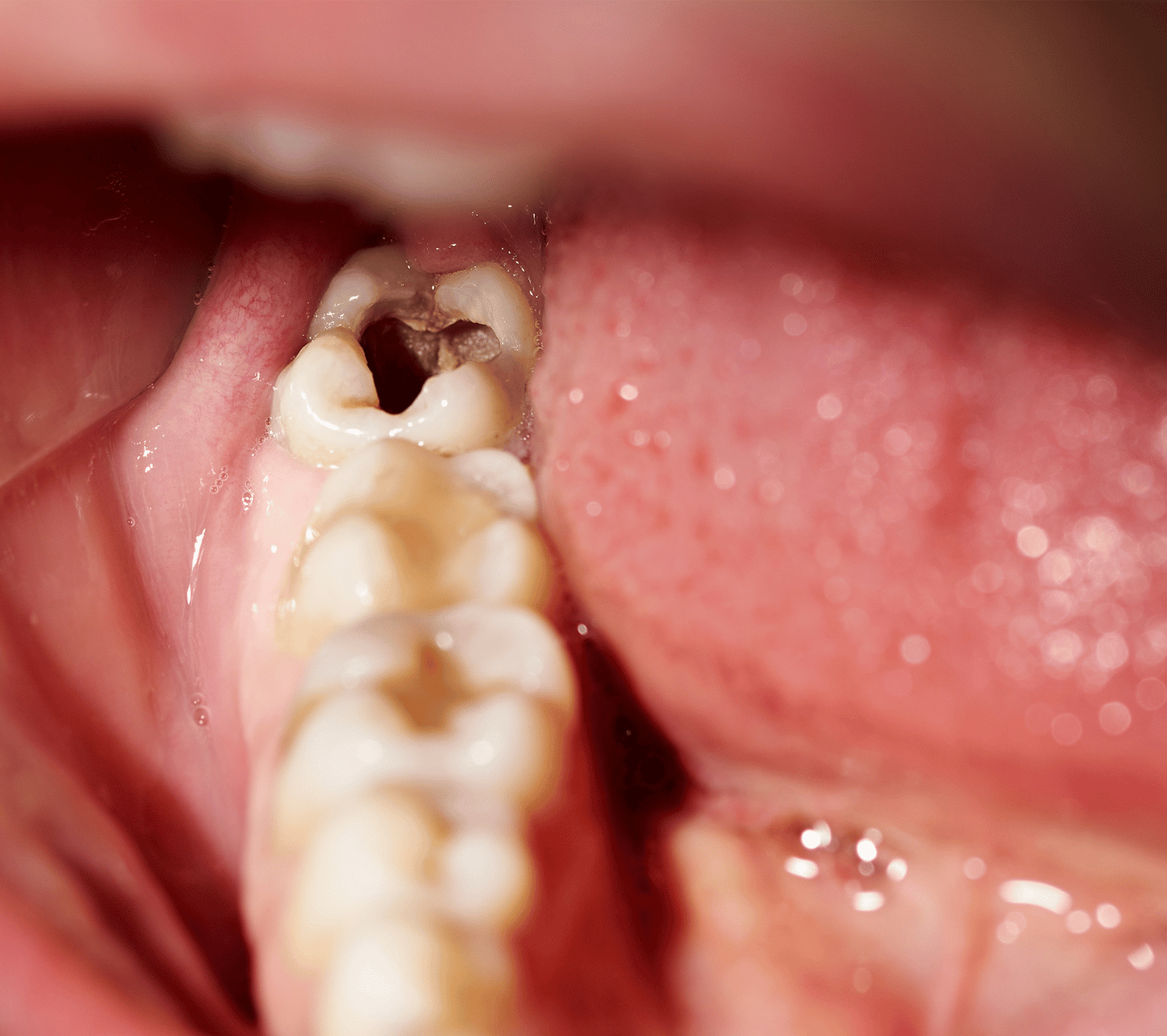 Malmesbury Dental & Specialist Referral Centre